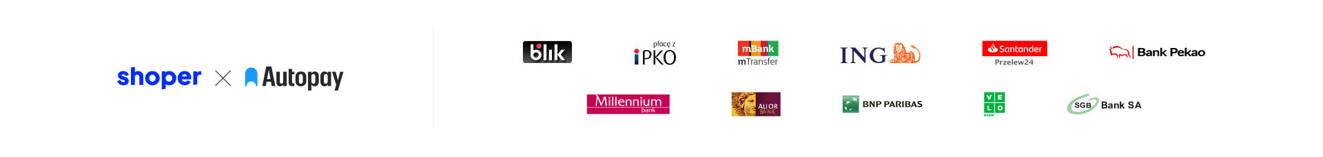 Baner zawierający ikony dostępnych metod płatności